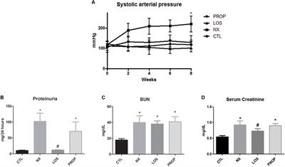 Klotho and PPAR Gamma Activation Mediate the Renoprotective Effect of Losartan in the <mark class="highlighted">5/6 Nephrectomy</mark> Model